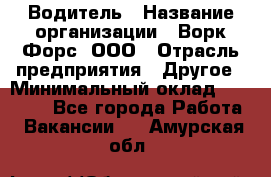 Водитель › Название организации ­ Ворк Форс, ООО › Отрасль предприятия ­ Другое › Минимальный оклад ­ 43 000 - Все города Работа » Вакансии   . Амурская обл.